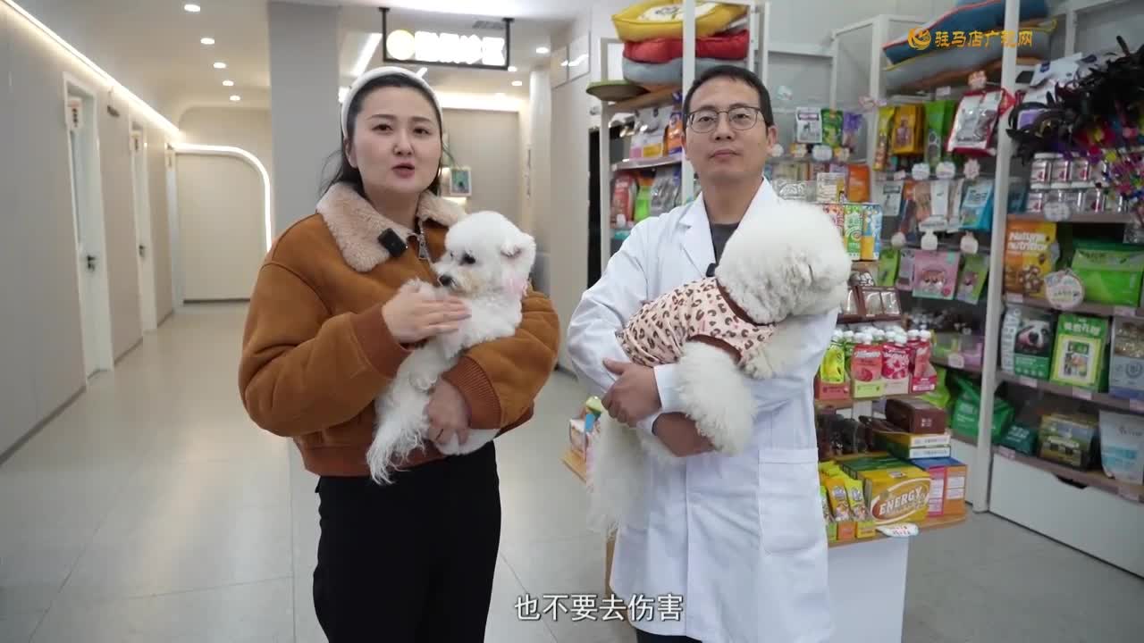 冬季爱宠养护秘籍