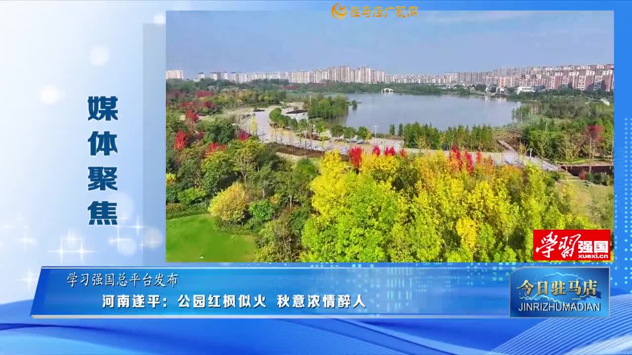 【媒體聚焦】河南遂平：公園紅楓似火 秋意濃情醉人......