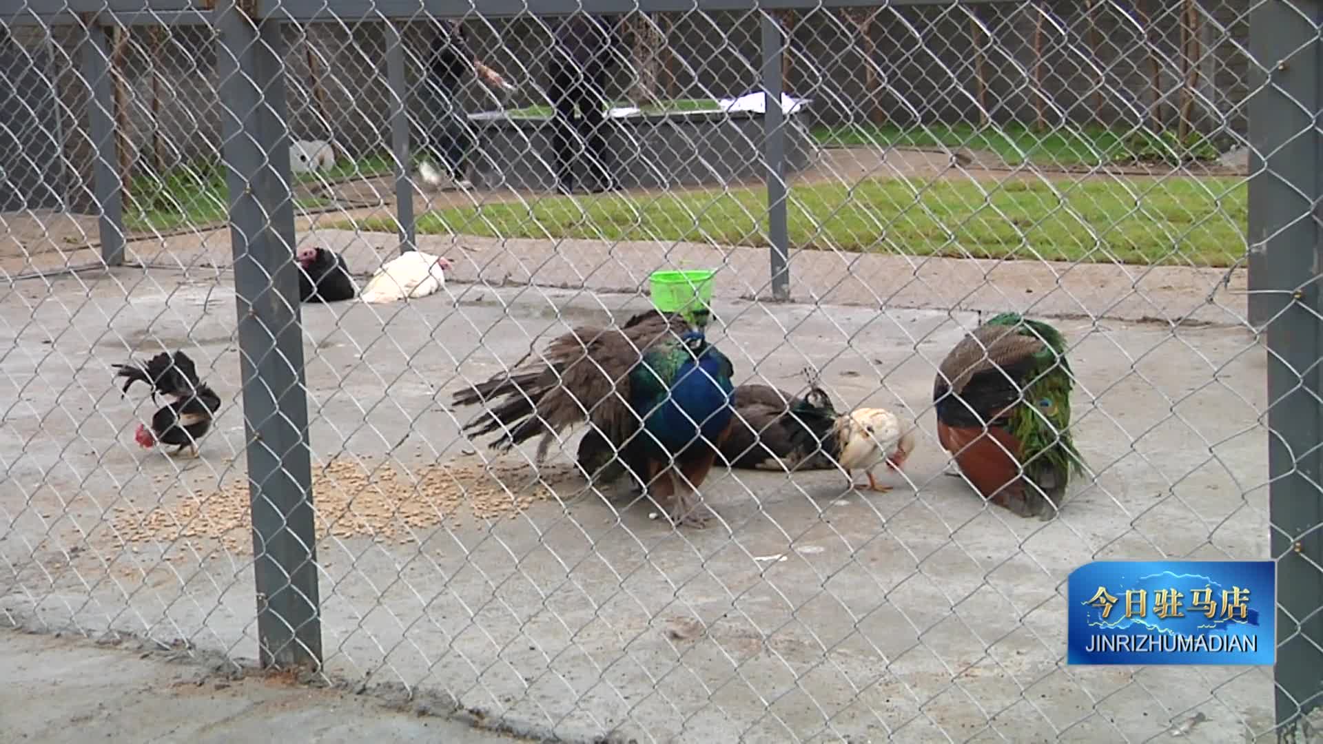 十一假期  市民嗨玩老乐山