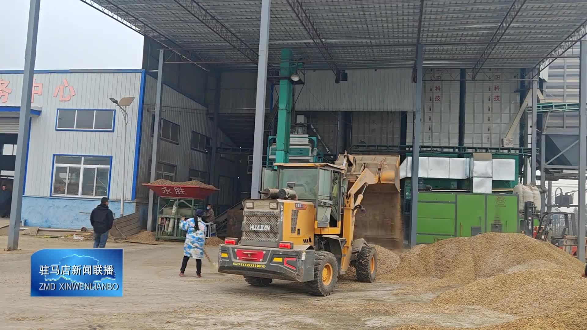 我市全力做好秋粮收购烘干工作 确保粮食颗粒归仓