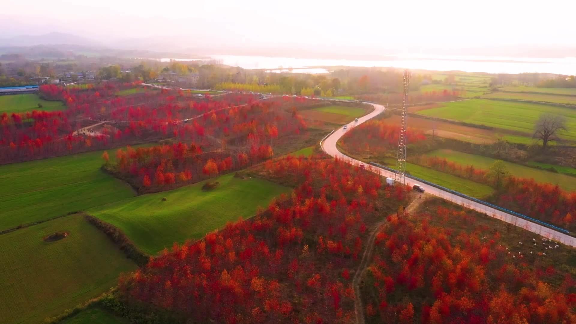 今年秋天，总要去板桥响冲看一次红叶吧！