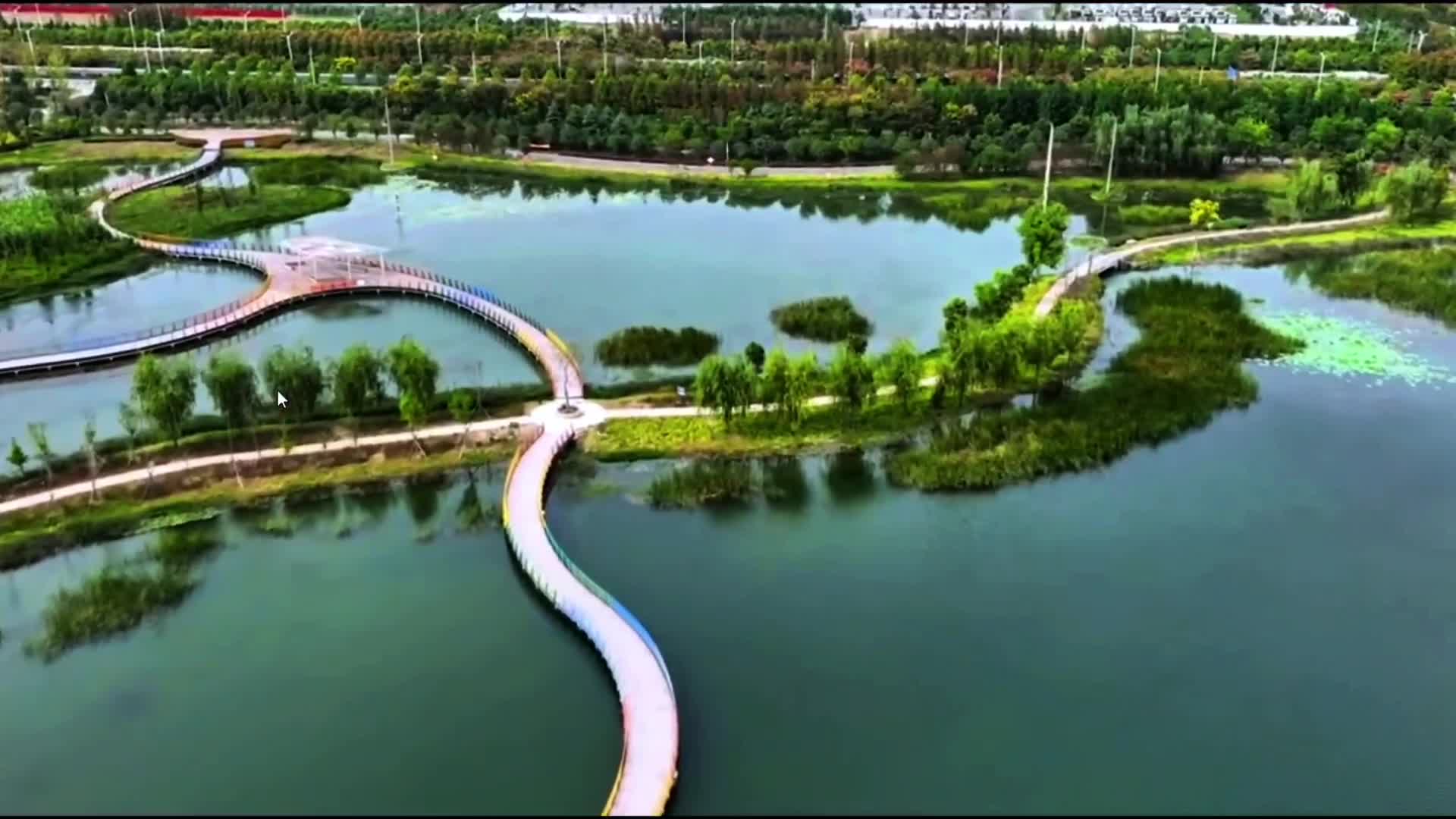 上蔡重阳文化有多浓？作为国家级非物质文化遗产，这次有了专属新旋律！由咱驻马店知名歌手张华倾情演绎，从陈艳彬作词到陈苏楠作曲，再到王艳刚全程操刀编曲、录音与混音，全本土力量打造的作品《九月九》，每一句都