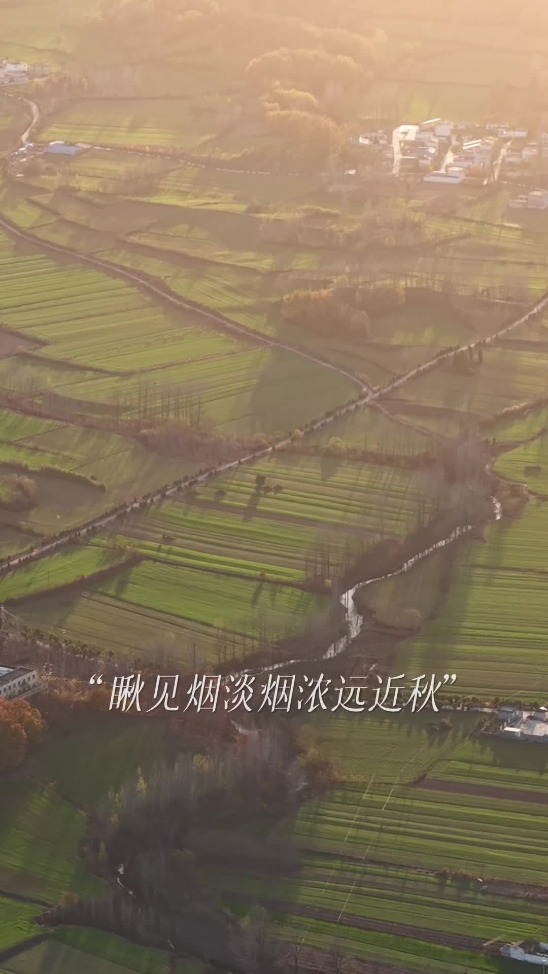 跟着朱广权老师，来看看驻马店的秋