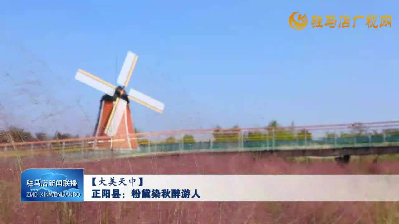 【大美天中】正阳县：粉黛染秋醉游人