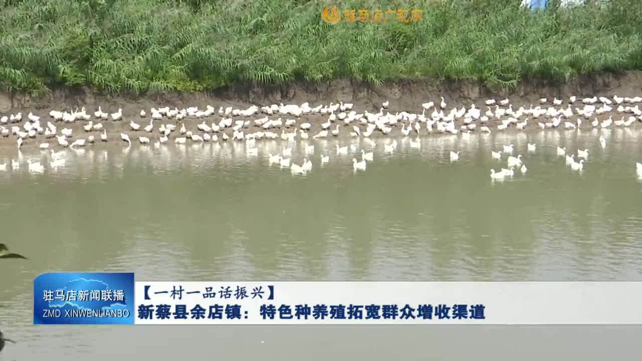 新蔡县余店镇：特色种养殖拓宽群众增收渠道