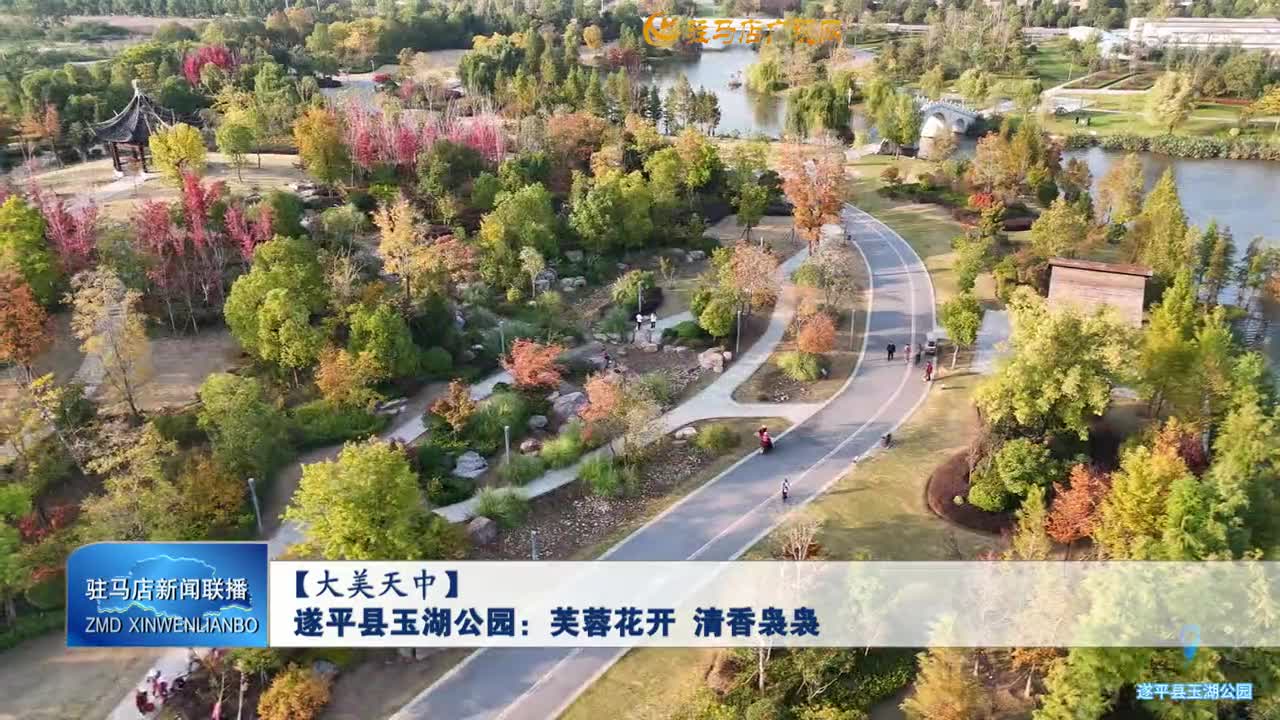 【大美天中】遂平縣玉湖公園：芙蓉花開(kāi) 清香裊裊