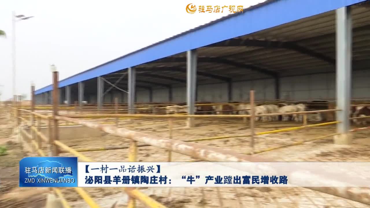 【一村一品話振興】泌陽縣羊冊(cè)鎮(zhèn)陶莊村：“牛”產(chǎn)業(yè)蹚出富民增收路