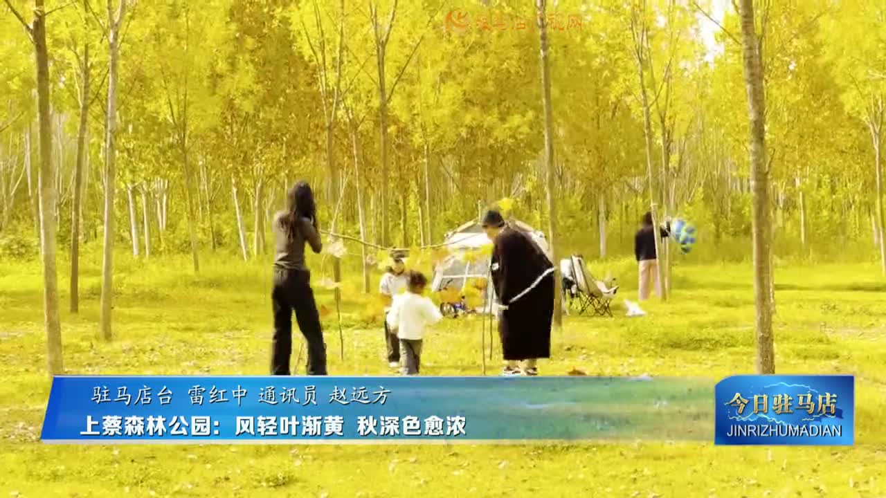 上蔡森林公園：風(fēng)輕葉漸黃 秋深色愈濃