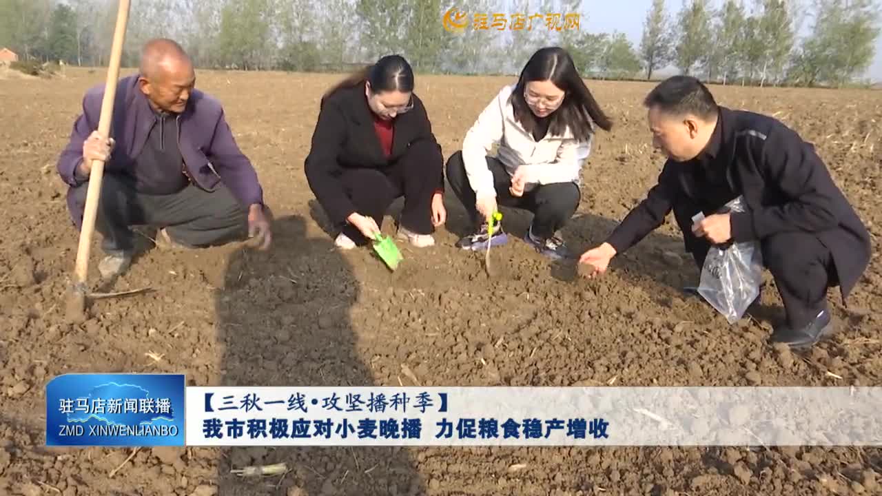 【三秋一线▪攻坚播种季】我市积极应对小麦晚播 力促粮食稳产增收