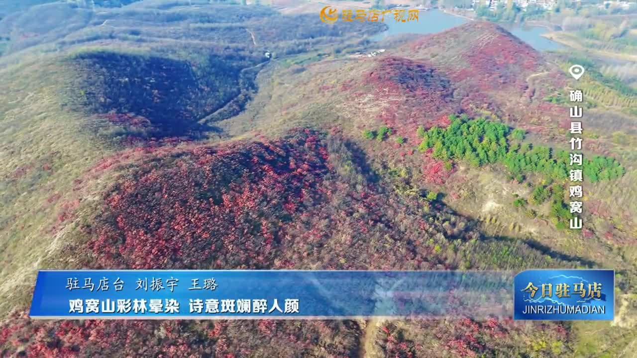 雞窩山彩林暈染 詩意斑斕醉人顏