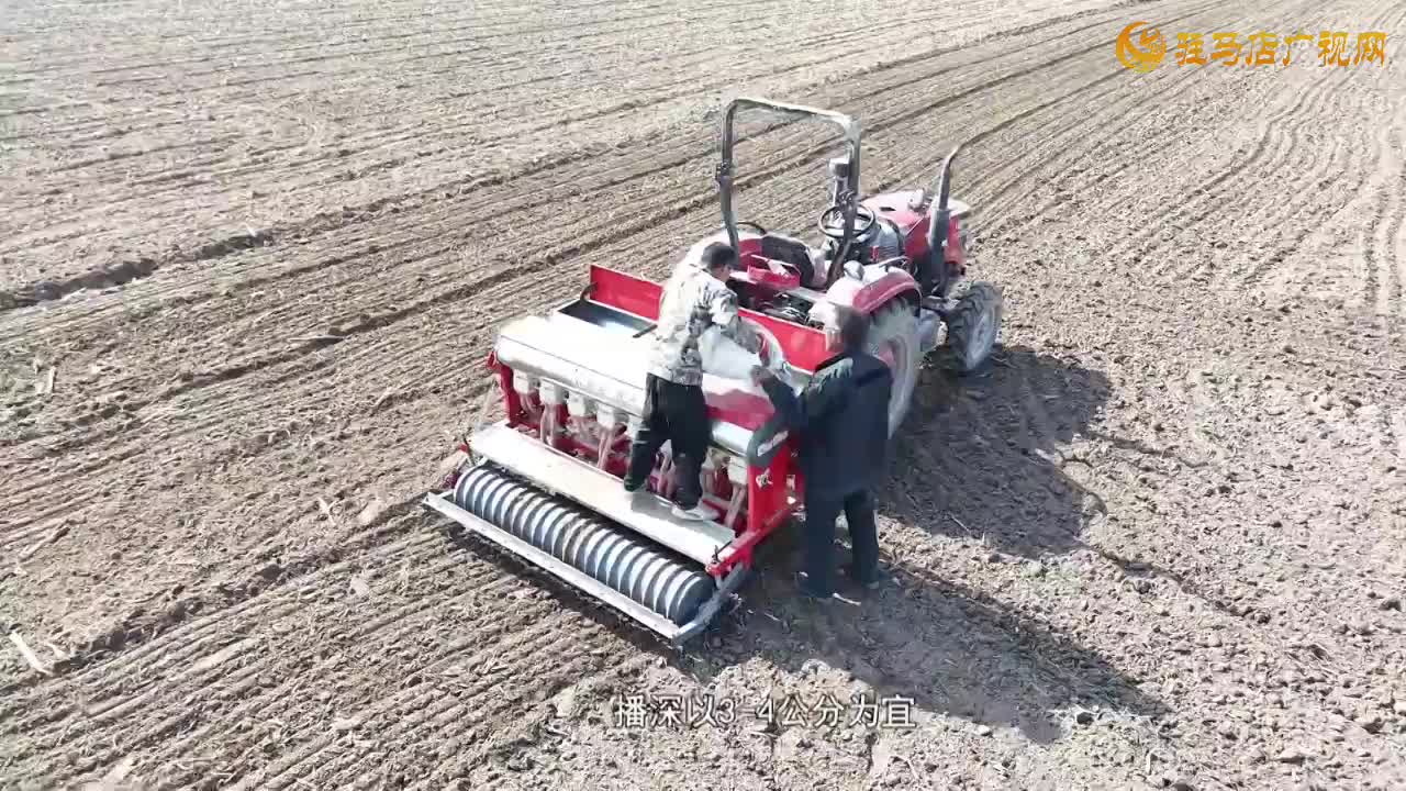 驿城区：科学分类指导 保障小麦适墒播种