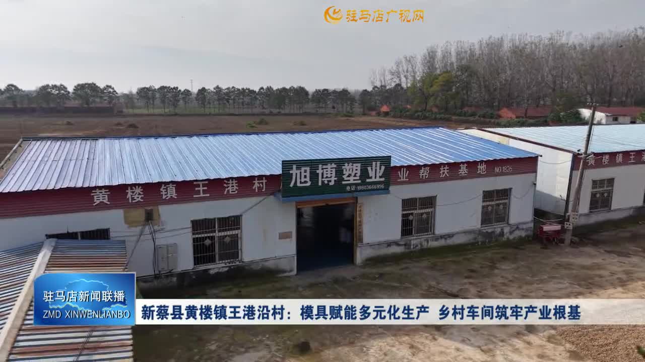 新蔡縣黃樓鎮(zhèn)王港沿村：模具賦能多元化生產(chǎn) 鄉(xiāng)村車間筑牢產(chǎn)業(yè)根基