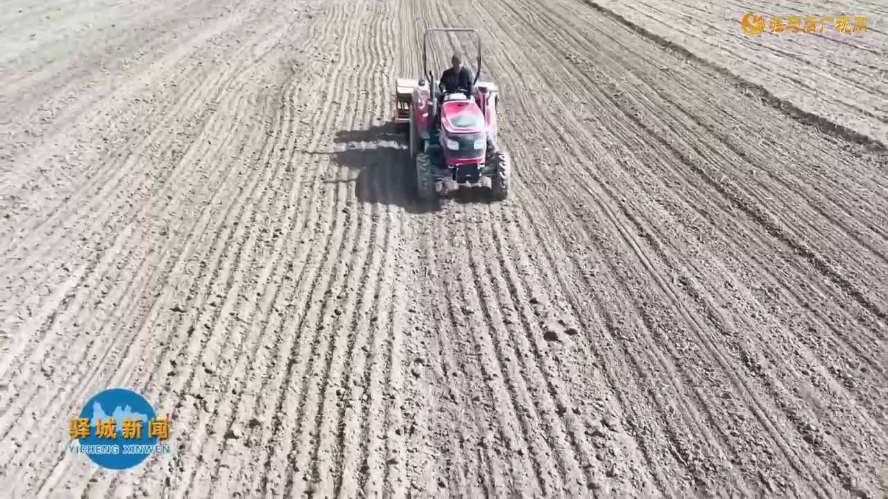 驛城區搶抓時機?秋播進度已過半