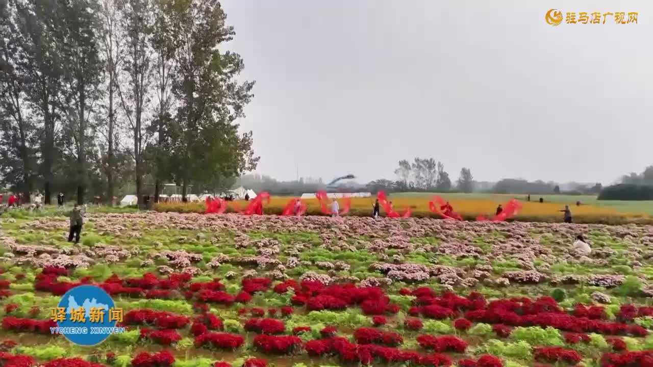 驛城區諸市鎮魏莊村：花海潮涌興沃土 文旅融合賦新篇