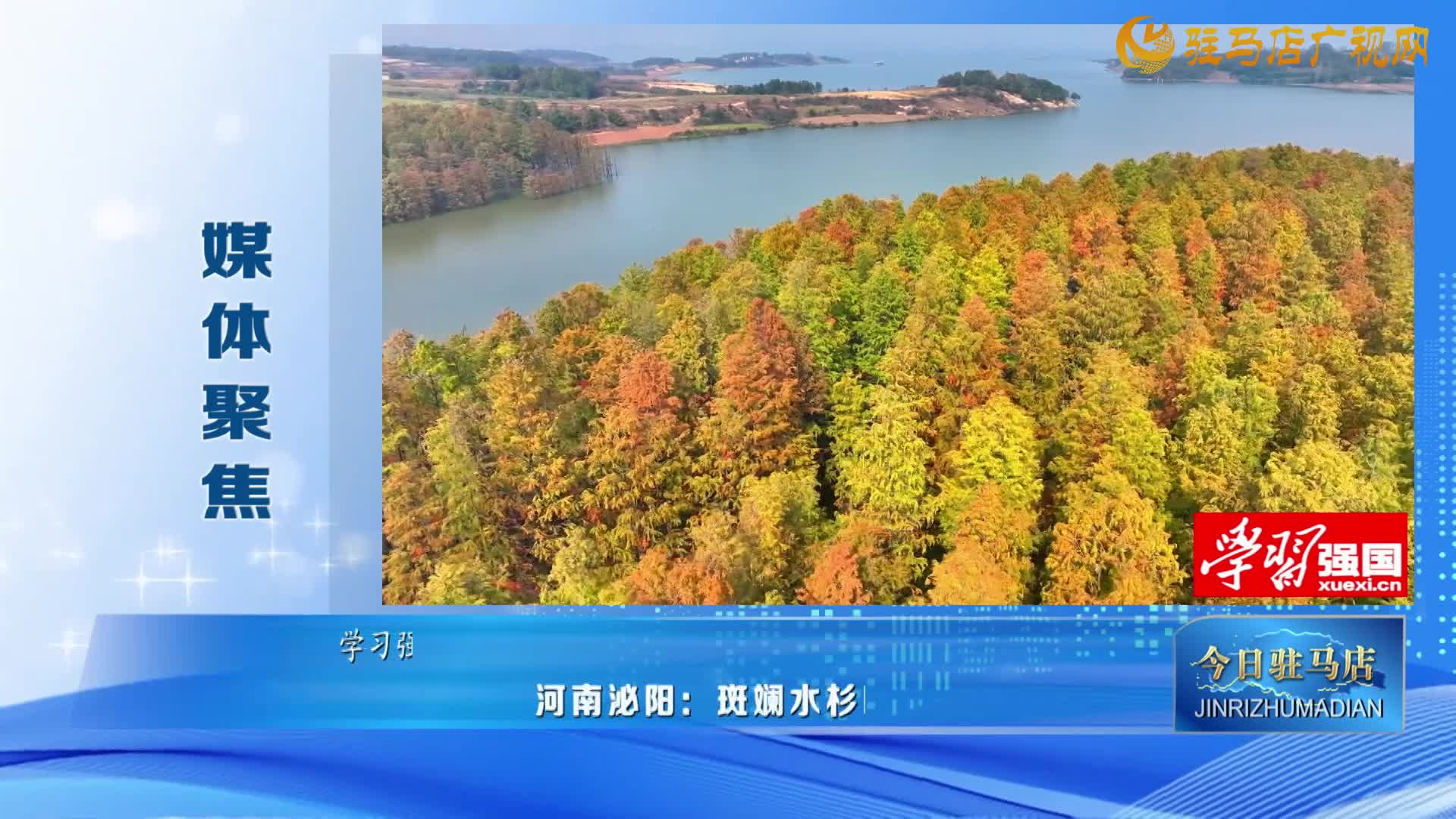 【媒體聚焦】河南泌陽(yáng)：斑斕水杉映湖光 生態(tài)和美入畫章?......