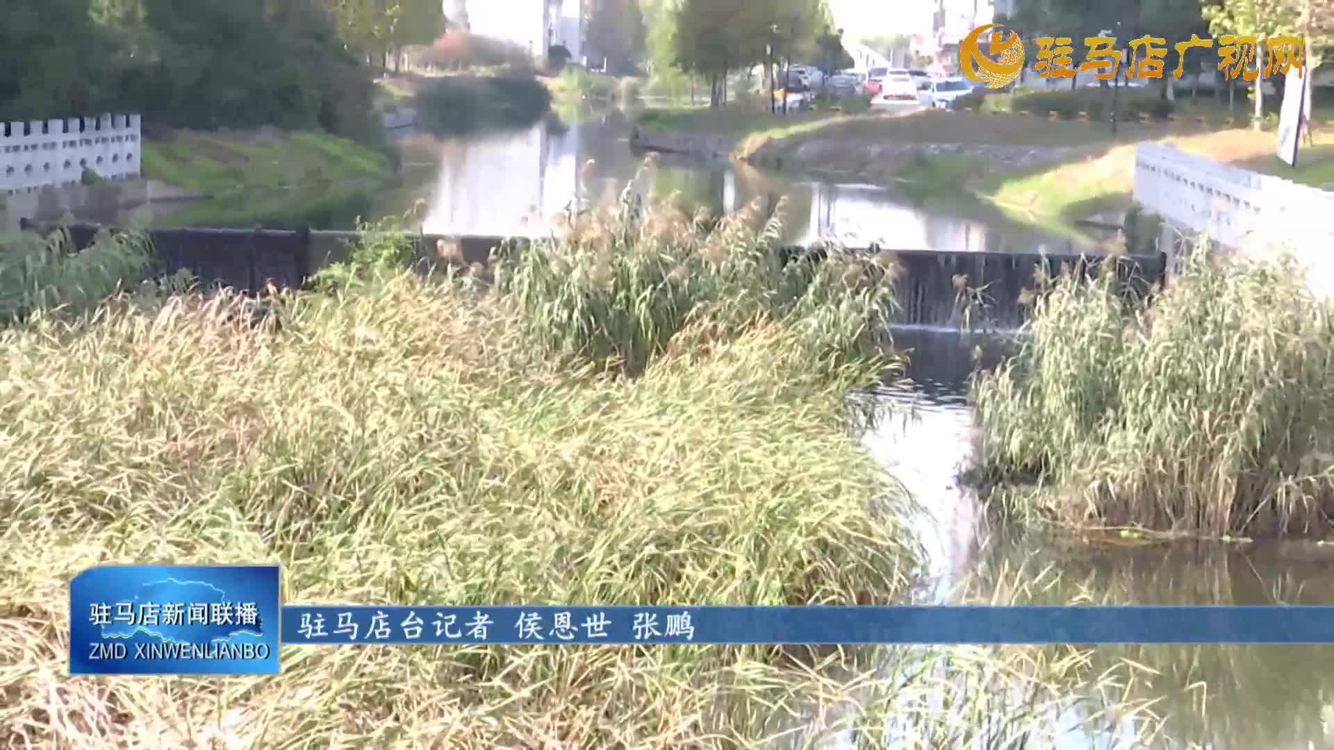 平舆县人民检察院：公益诉讼让垃圾场变回清水渠