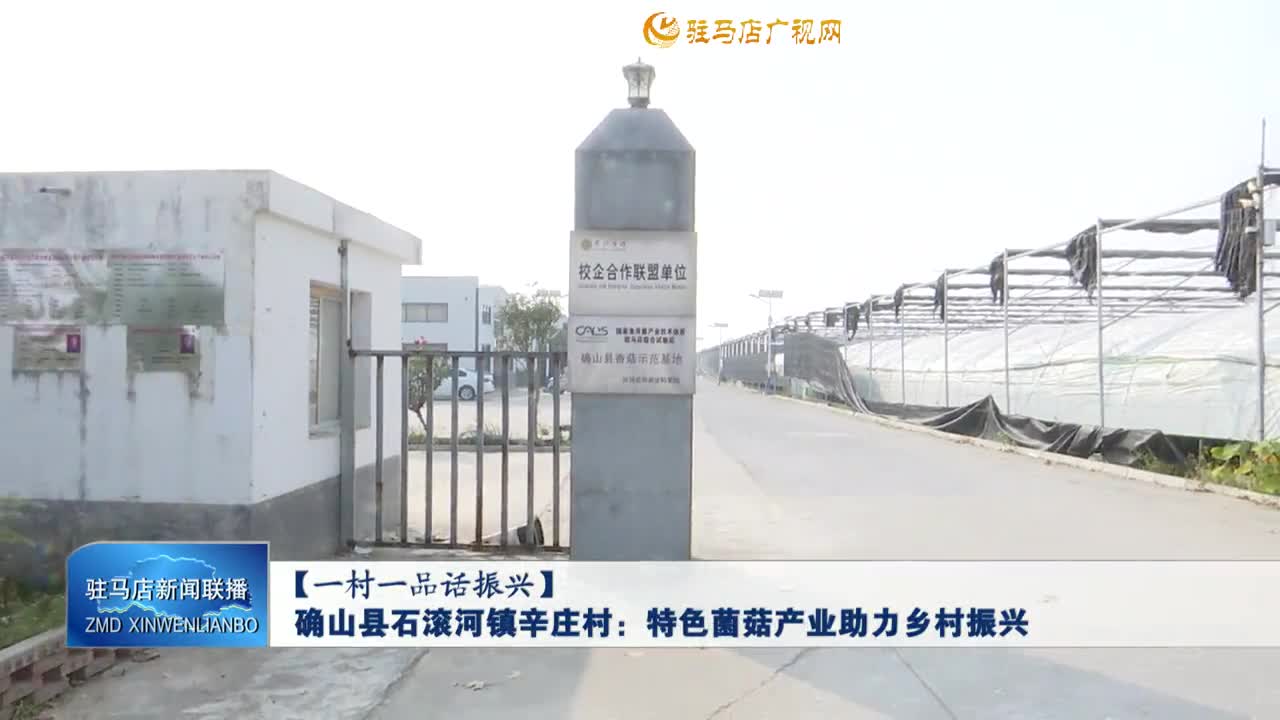 【一村一品話振興】確山縣石滾河鎮(zhèn)辛莊村：特色菌菇產(chǎn)業(yè)助力鄉(xiāng)村振興