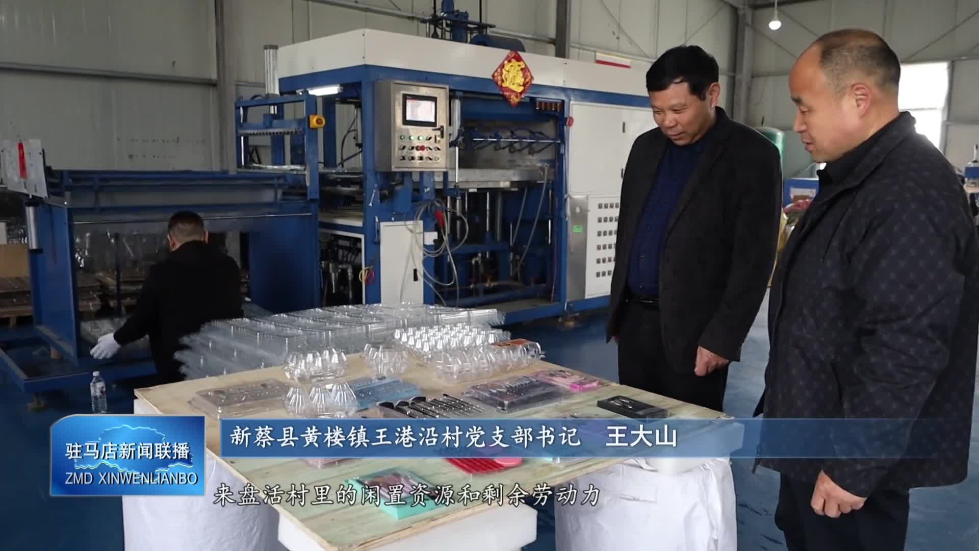 新蔡縣黃樓鎮王港沿村：模具賦能多元化生產 鄉村車間筑牢產業根基