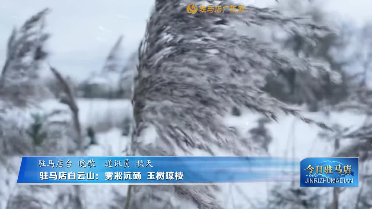 駐馬店白云山：霧凇沆碭 玉樹瓊枝