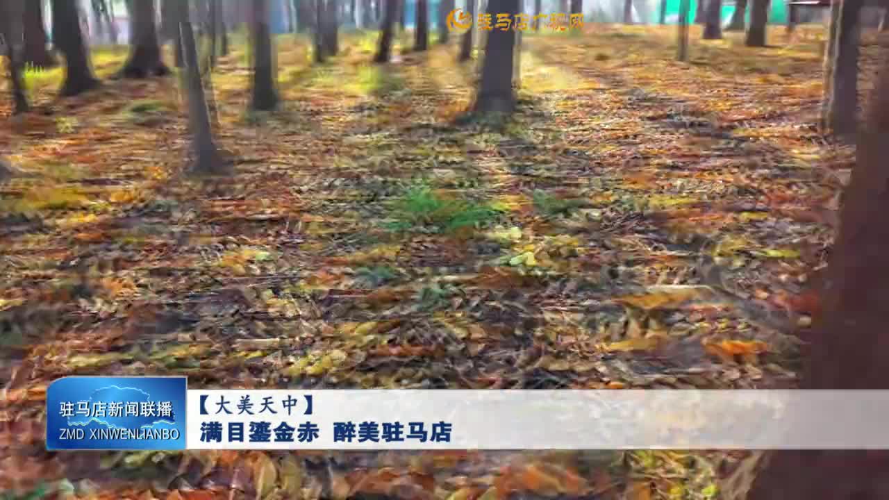 【大美天中】滿目鎏金赤 醉美駐馬店