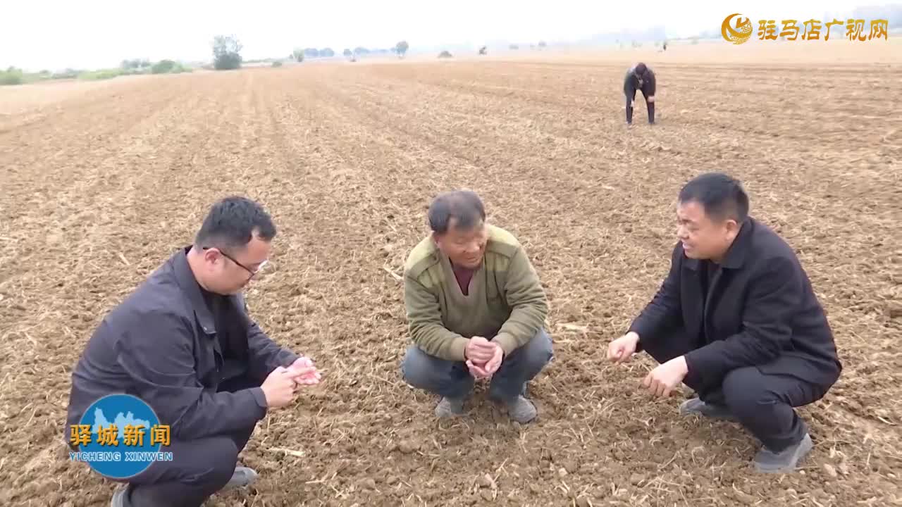 驿城区：科技破“晚”局 湿播转稳产