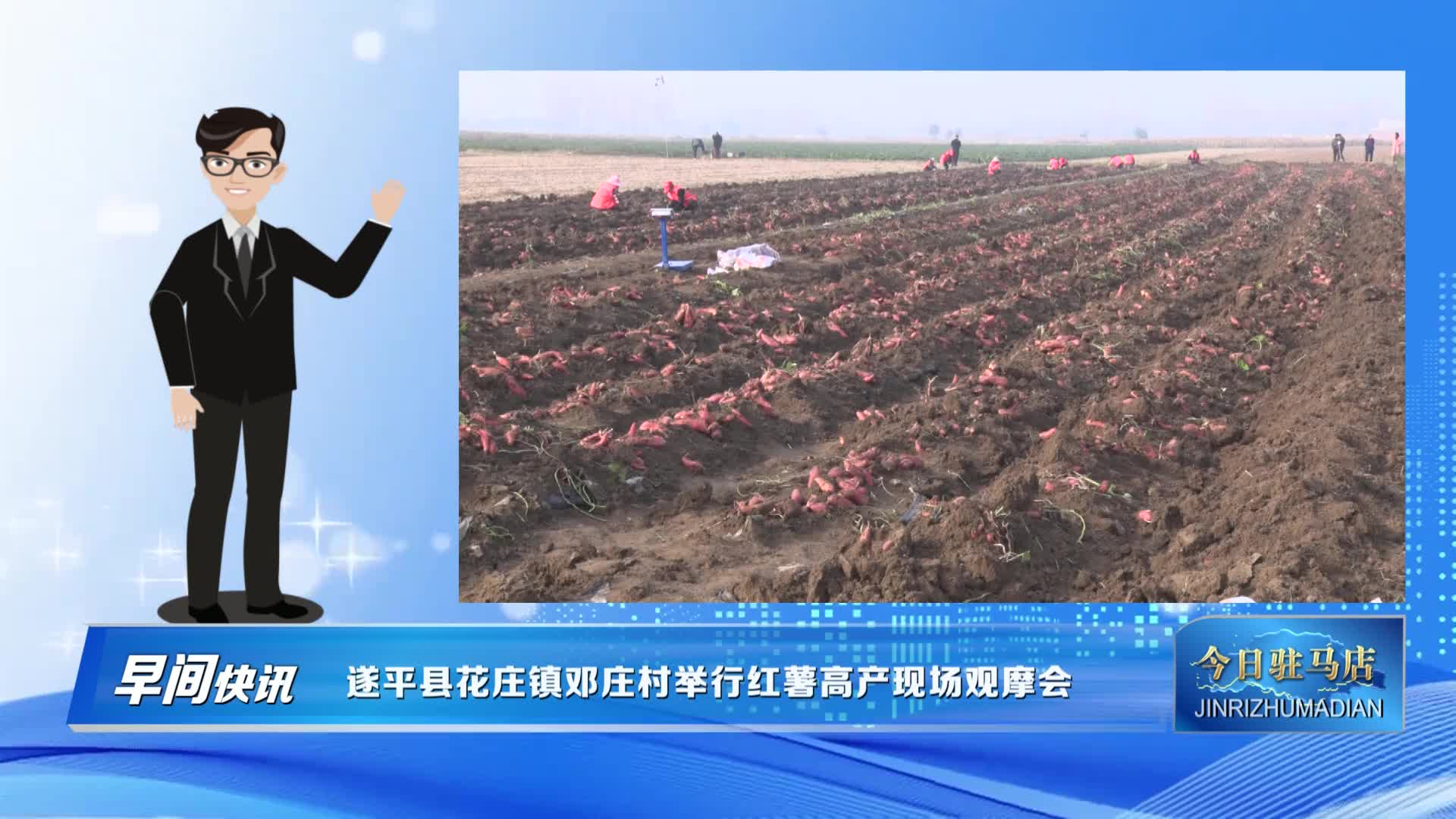 遂平县花庄镇邓庄村举行红薯高产现场观摩会