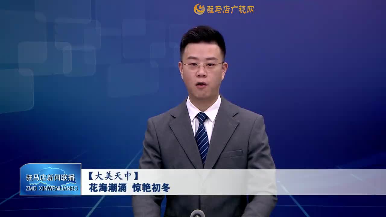 【大美天中】花海潮涌  驚艷初冬