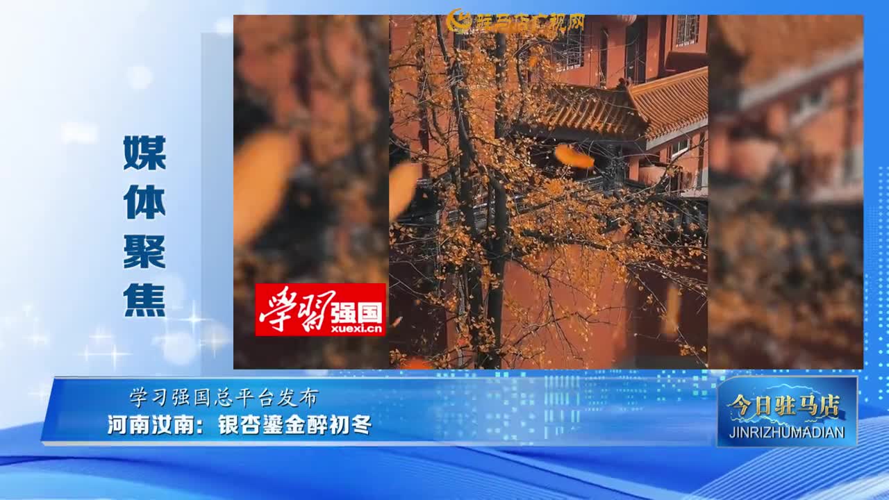 【媒體聚焦】河南汝南：銀杏鎏金醉初冬......