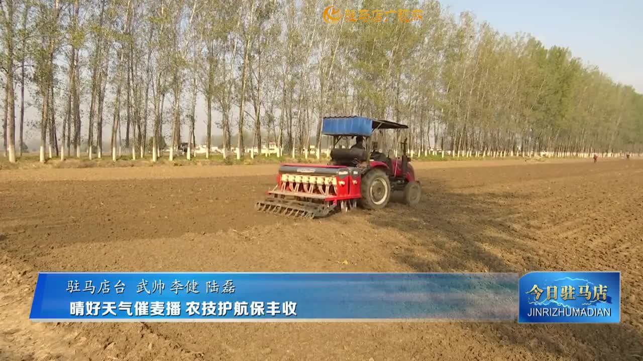 好天氣催麥播?農技護航保豐收