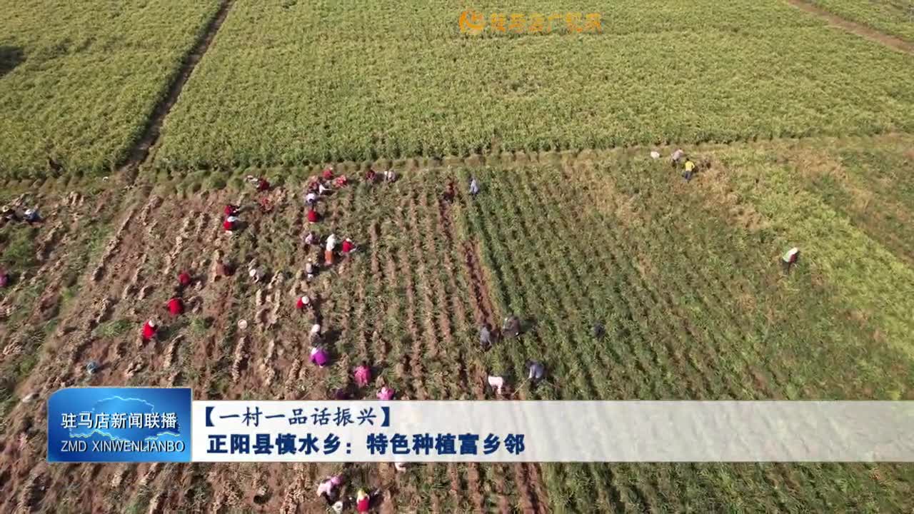 【一村一品話振興】正陽縣慎水鄉(xiāng)：特色種植富鄉(xiāng)鄰