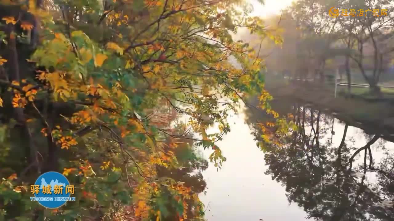 满目鎏金赤 醉美驿城