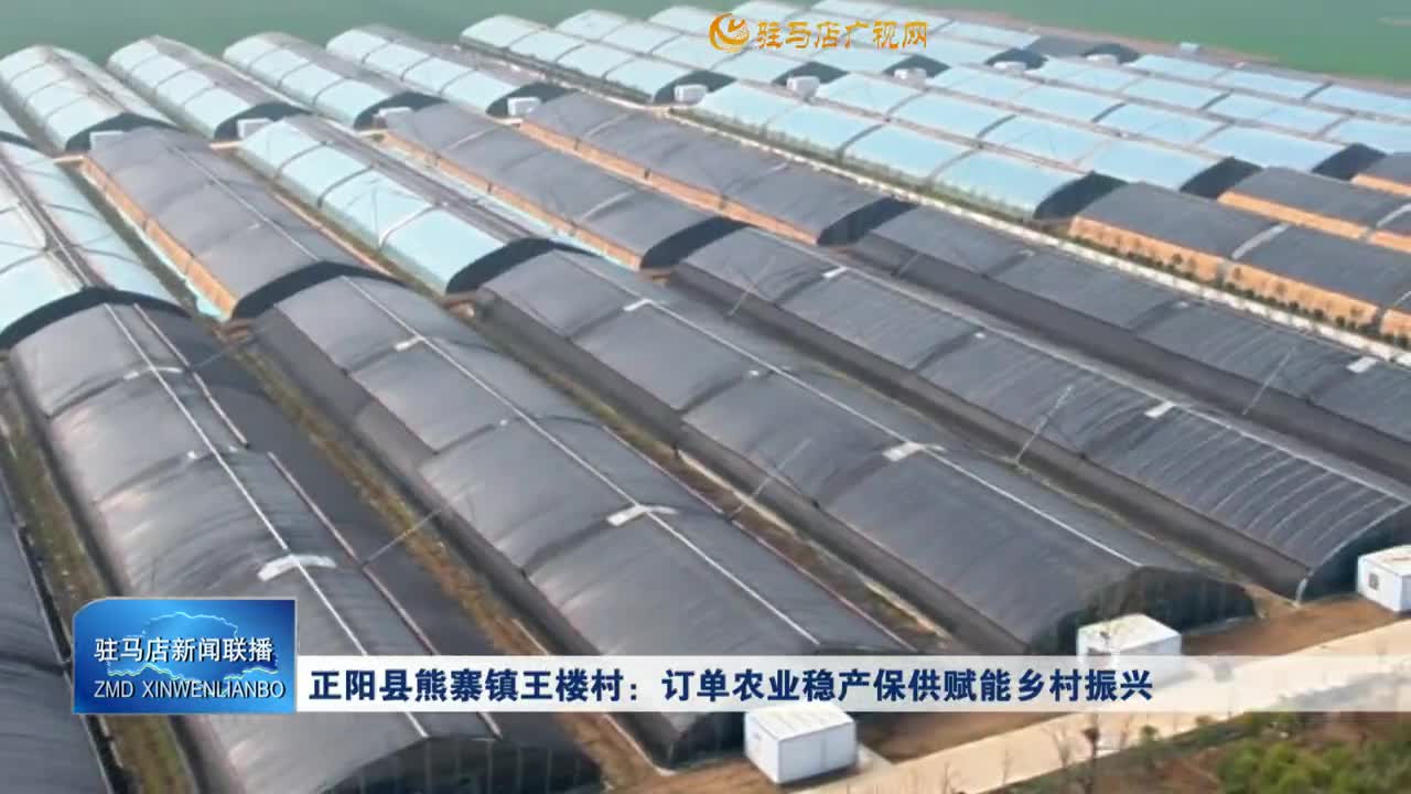 正阳县熊寨镇王楼村：订单农业稳产保供赋能乡村振兴