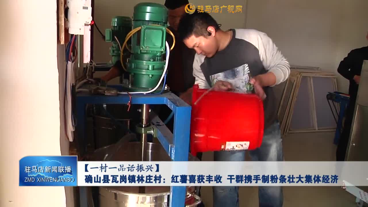 【一村一品話振興】確山縣瓦崗鎮(zhèn)林莊村：紅薯喜獲豐收 干群攜手制粉條壯大集體經(jīng)濟(jì)