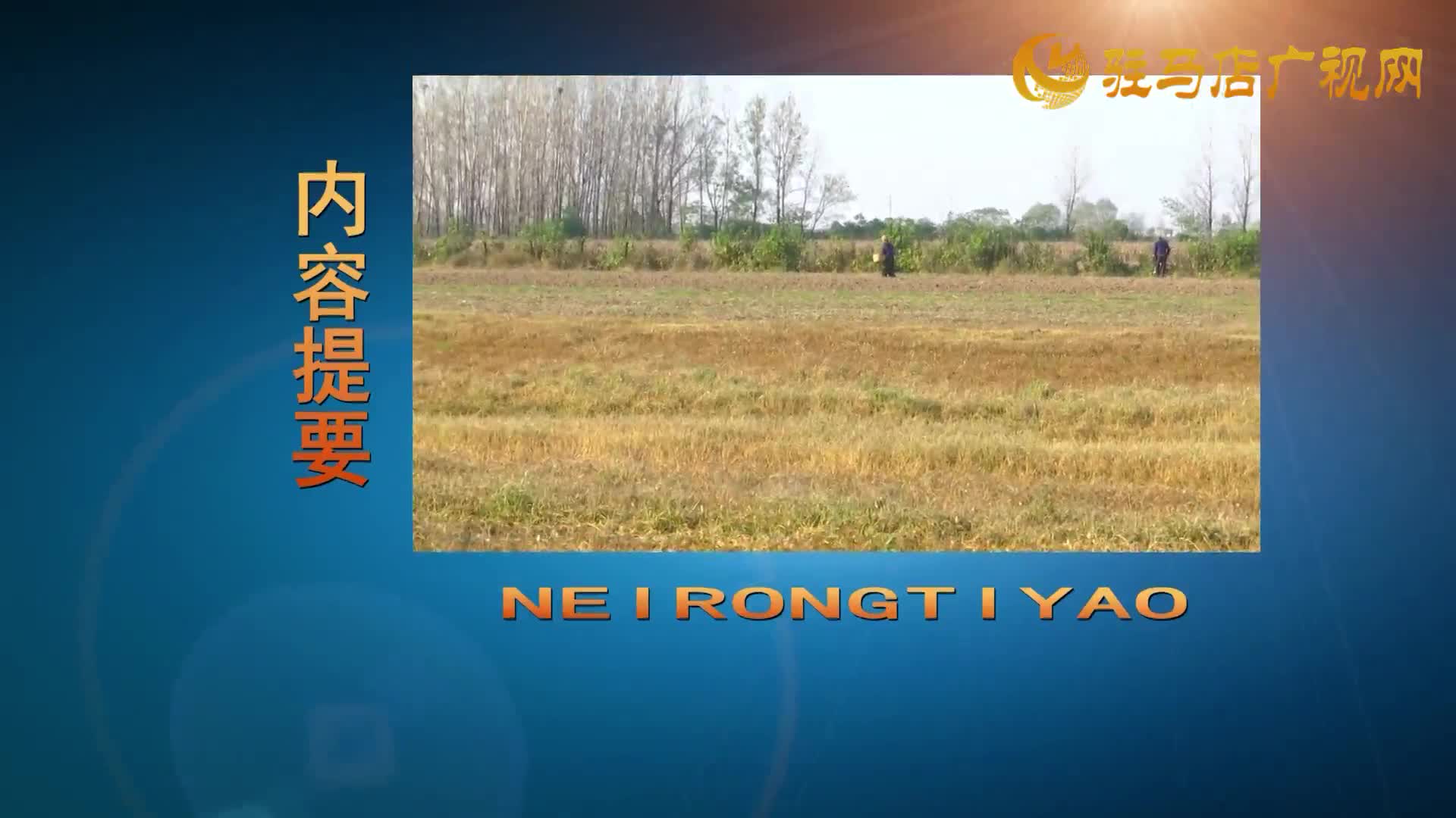 開發(fā)區(qū)新聞《2025年11月25日》