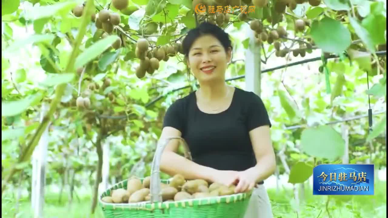 《今日駐馬店》網(wǎng)絡版