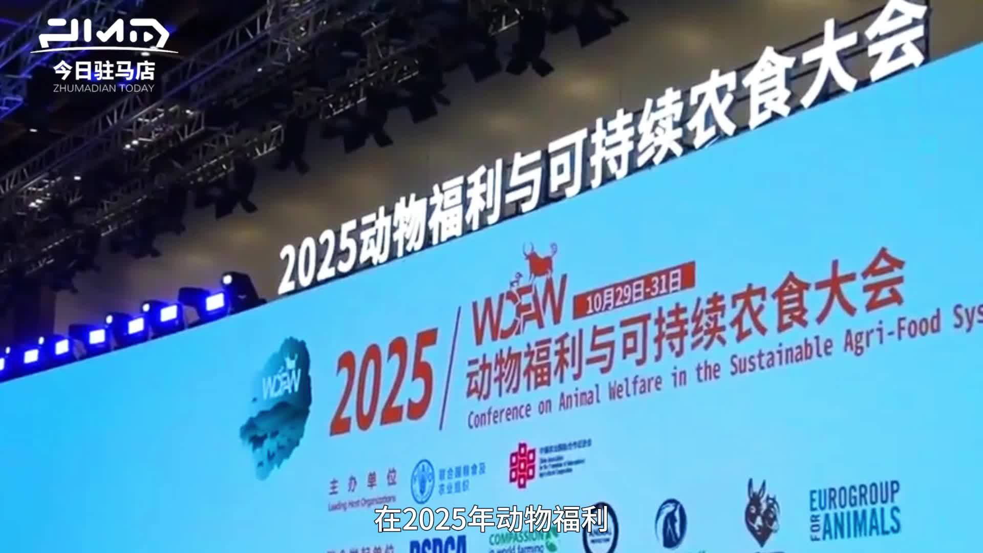 确山黑猪荣获国际“金猪奖”