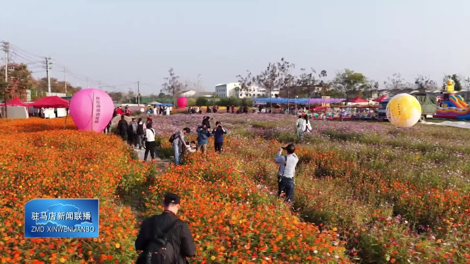 “丰韵天中”摄影采风创作活动在新蔡举行