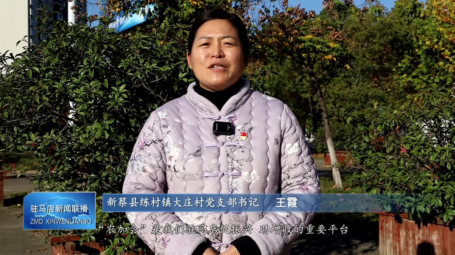 市民畅谈“农加会”：年度盛会的“烟火气”与“国际范”