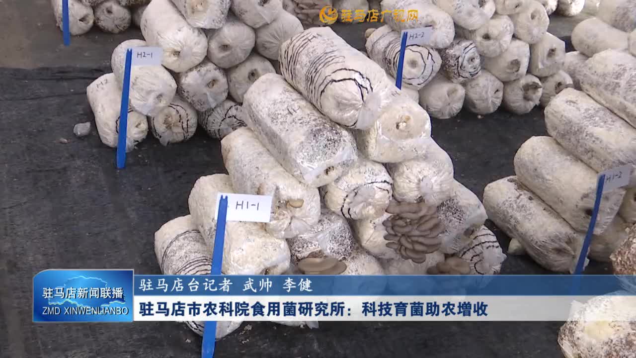 駐馬店市農(nóng)科院食用菌研究所：科技育菌助農(nóng)增收