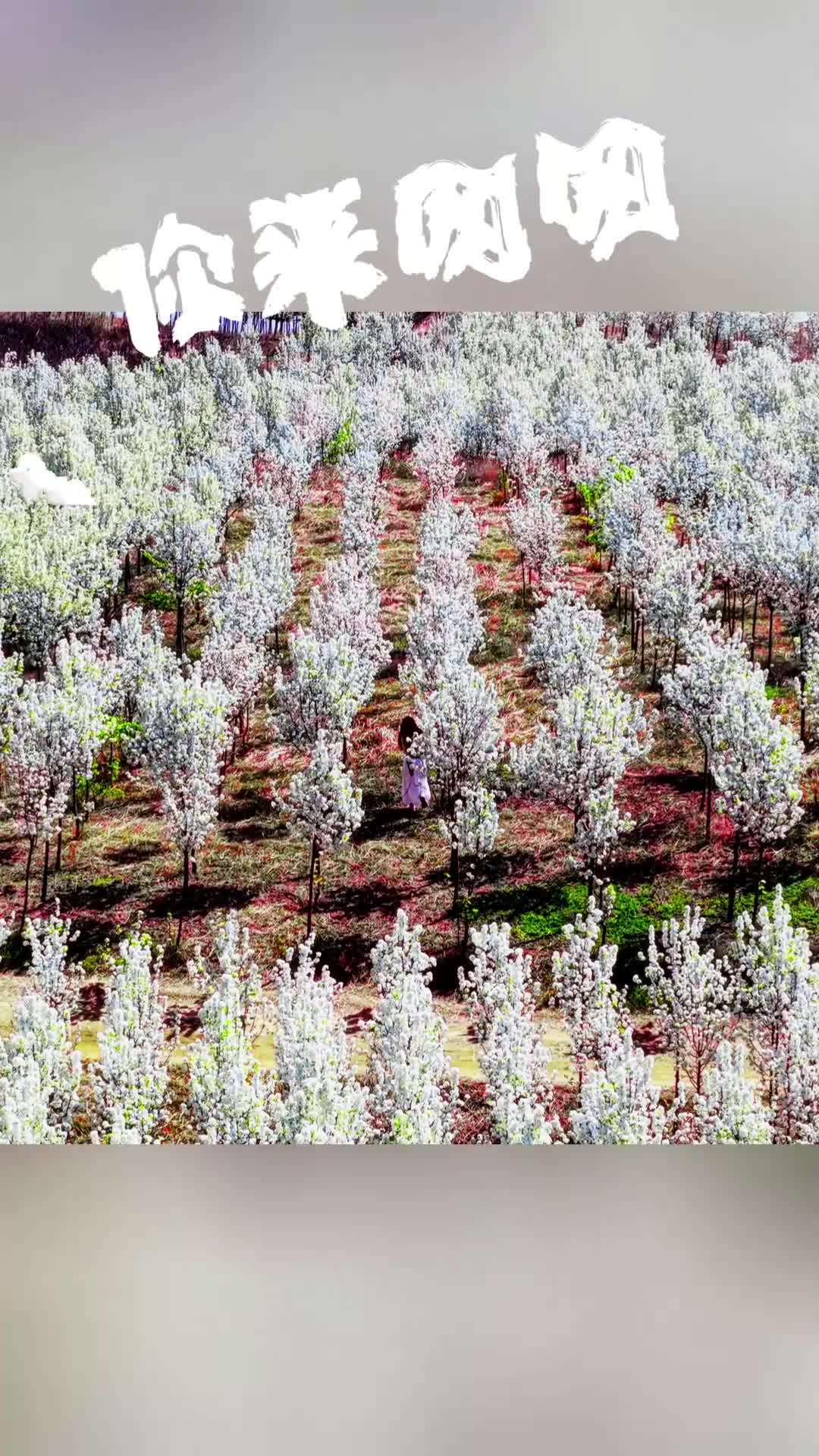 这个冬天来驻马店，让快乐出发！