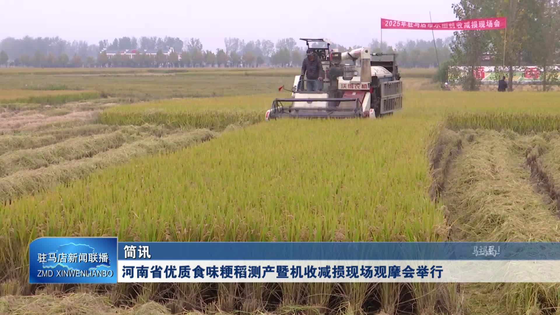 确山 河南省优质食味粳稻测产暨机收减损现场观摩会举行