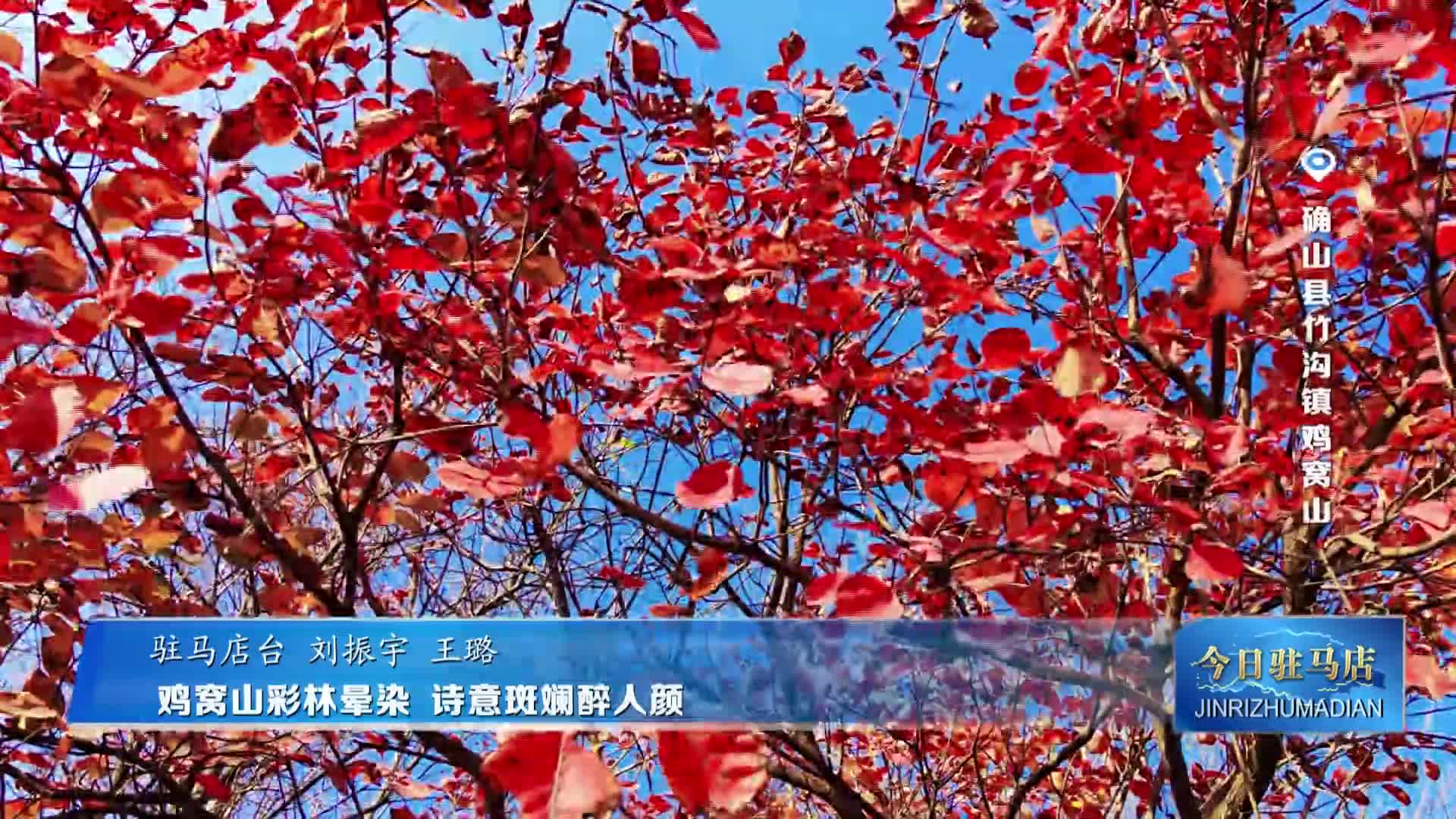 鸡窝山彩林晕染 诗意斑斓醉人颜