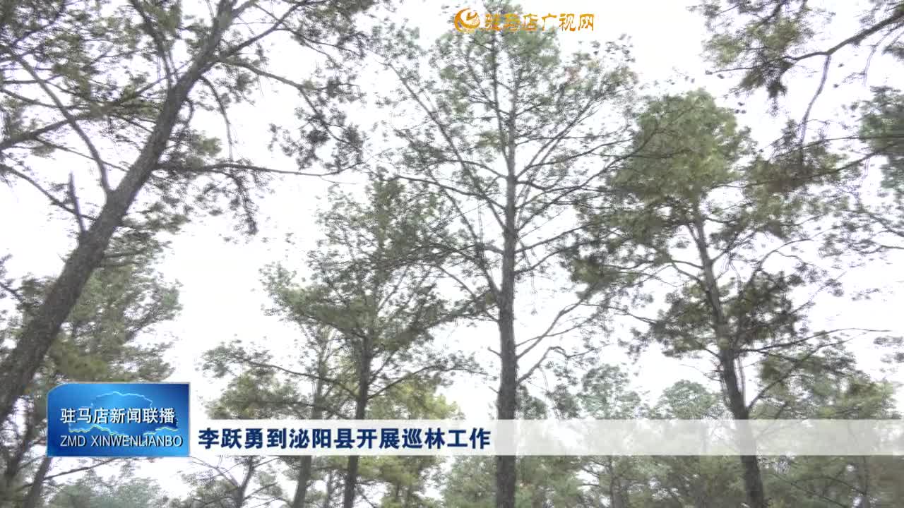 李跃勇到泌阳县开展巡林工作