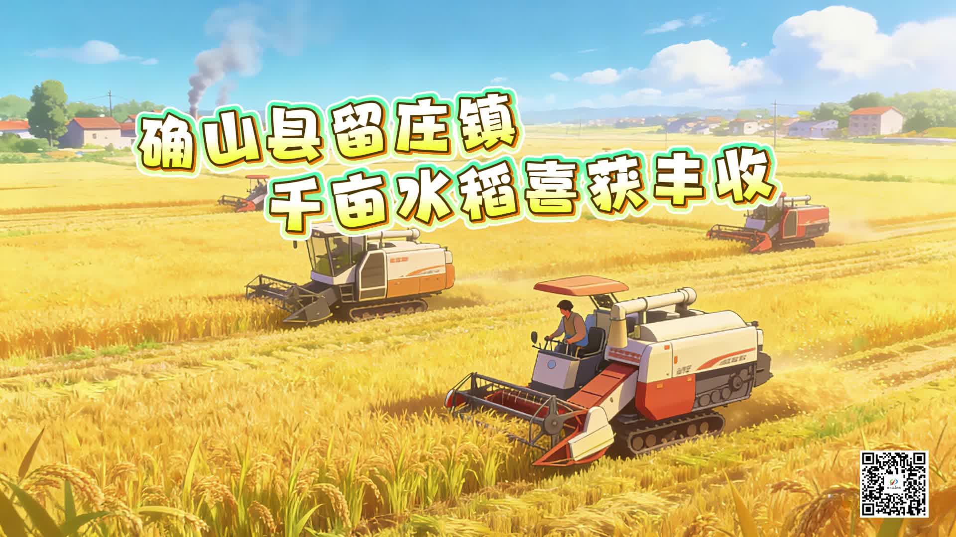 确山县留庄镇：千亩水稻喜获丰收