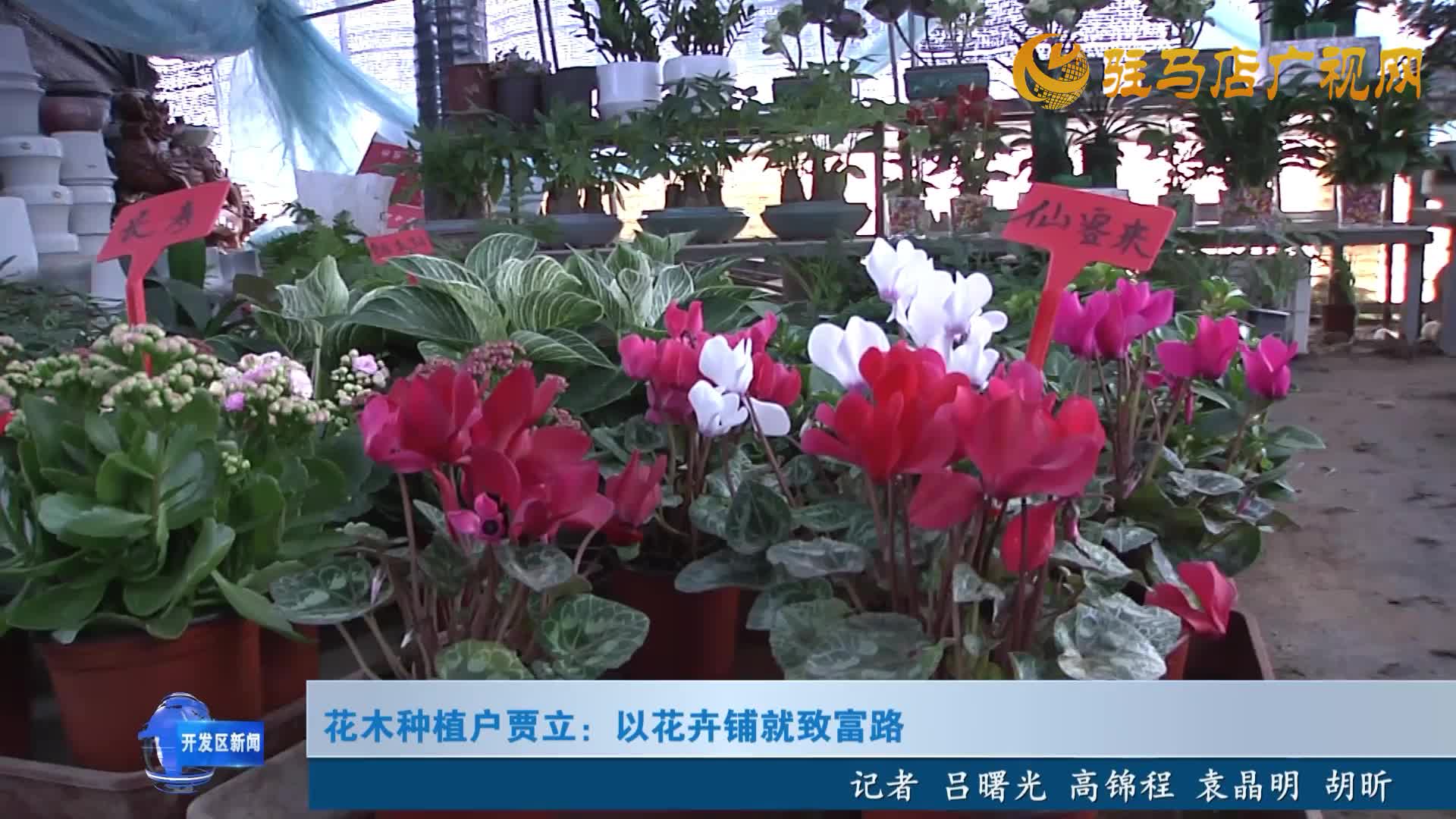 花卉种植户贾立：以花卉铺就致富路