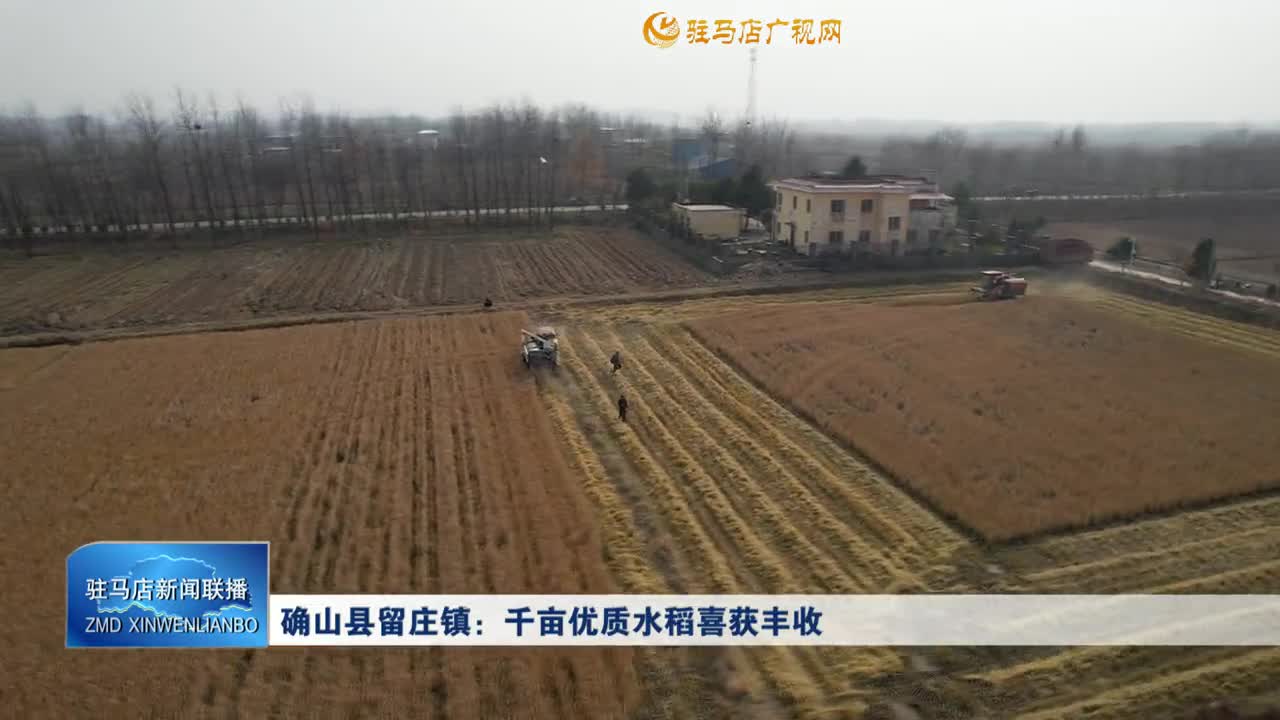 確山縣留莊鎮(zhèn)：千畝優(yōu)質(zhì)水稻喜獲豐收