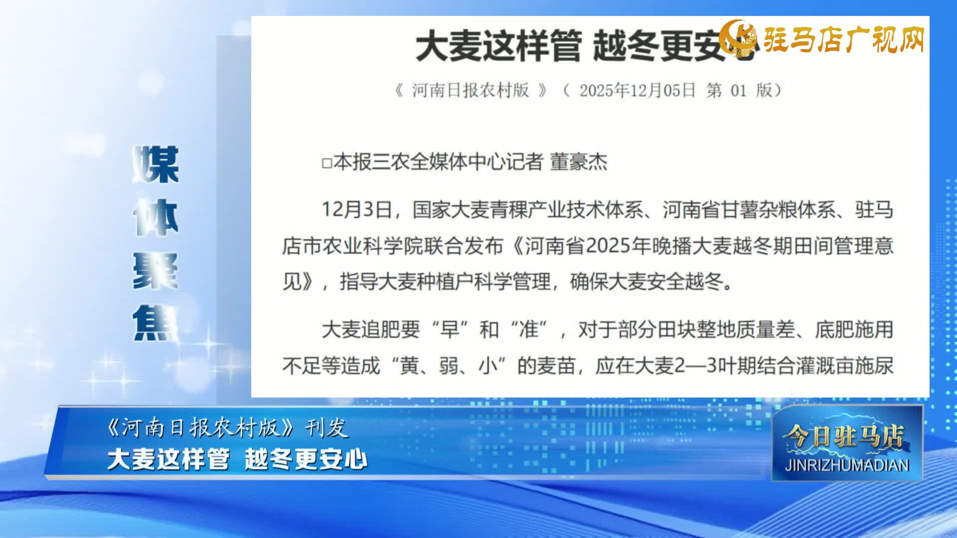 【媒体聚焦】大麦这样管 越冬更安心......