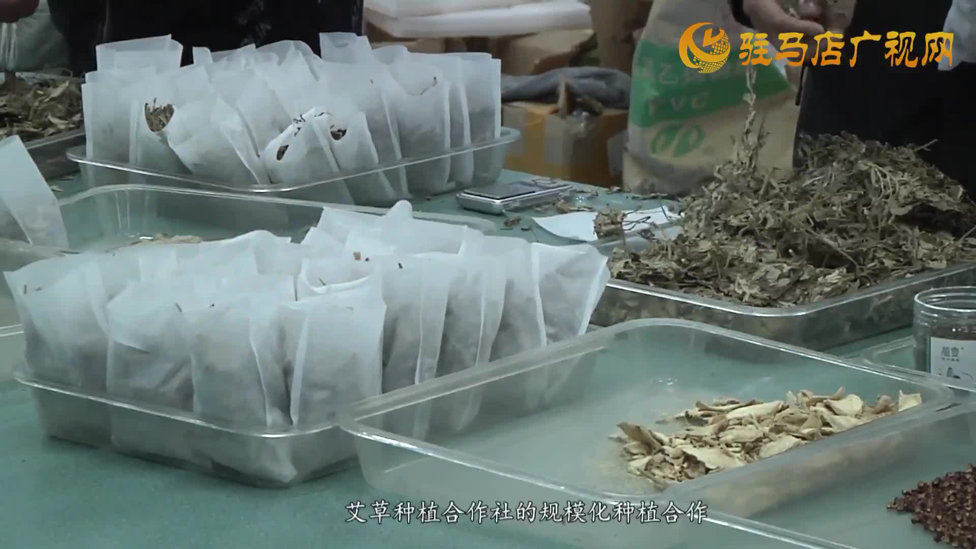 開(kāi)發(fā)區(qū)新聞《2025年12月9日》