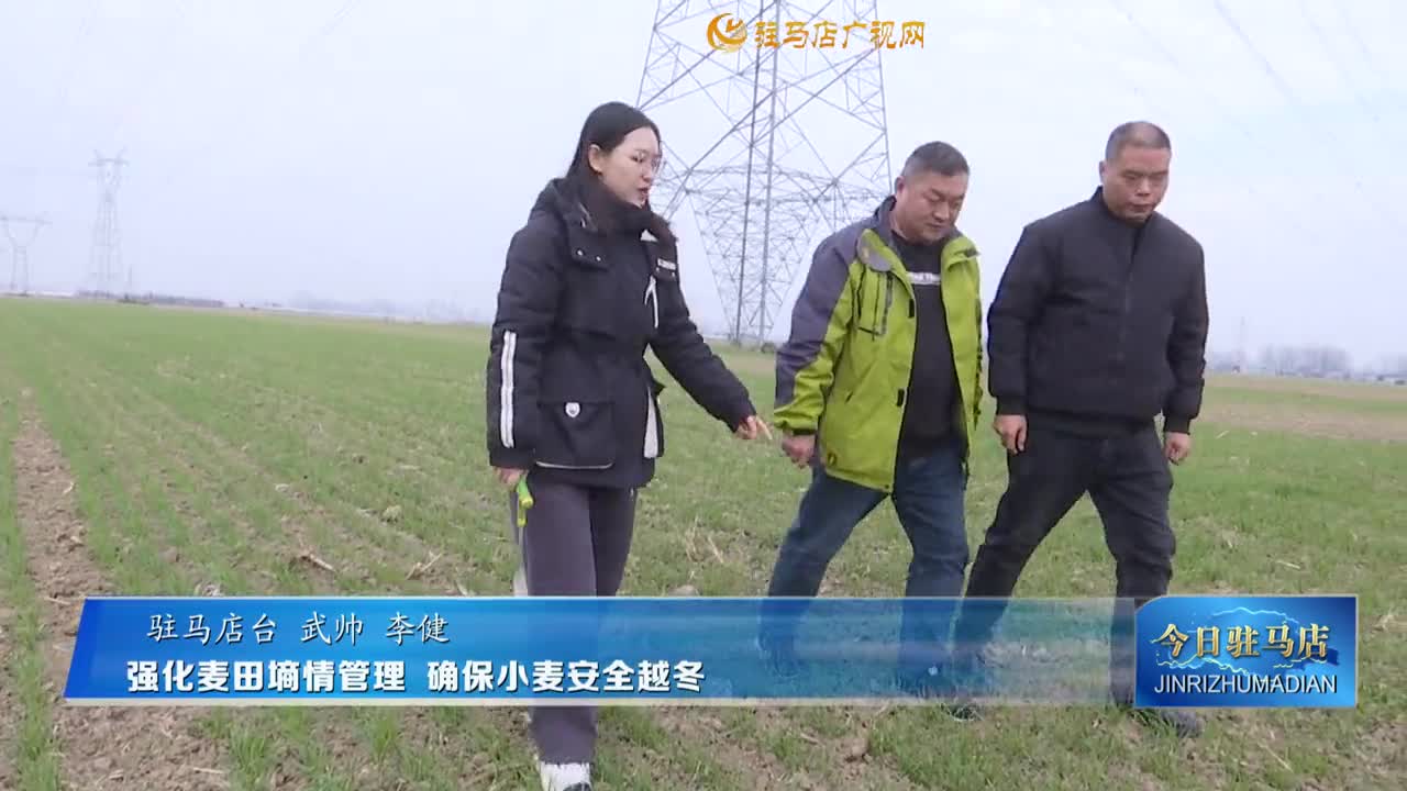 强化麦田墒情管理 确保小麦安全越冬