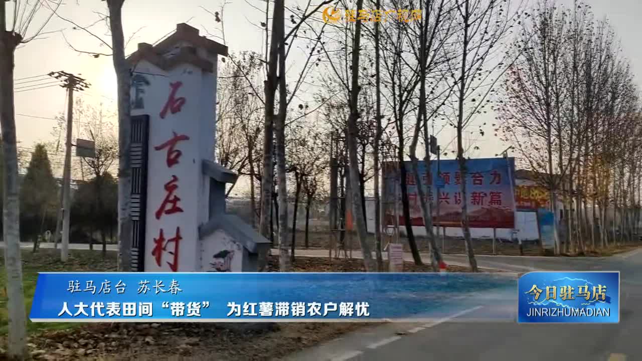 人大代表田间“带货” 为红薯滞销农户解忧